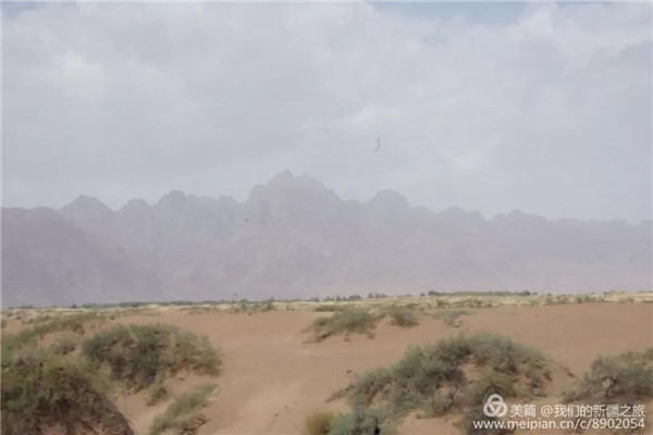 意昂2-科技赋能场景,让娱乐更有趣!