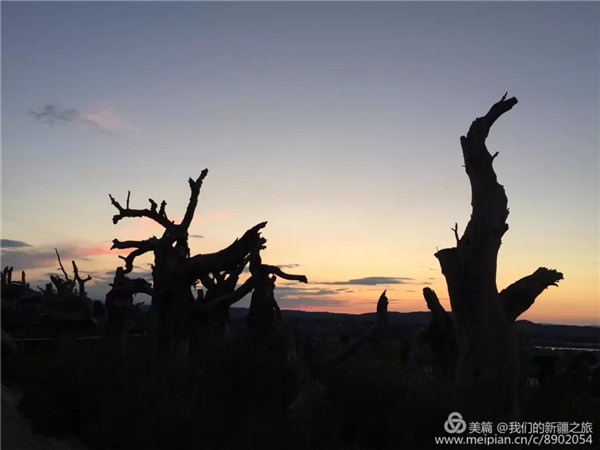 意昂2-科技赋能场景,让娱乐更有趣!