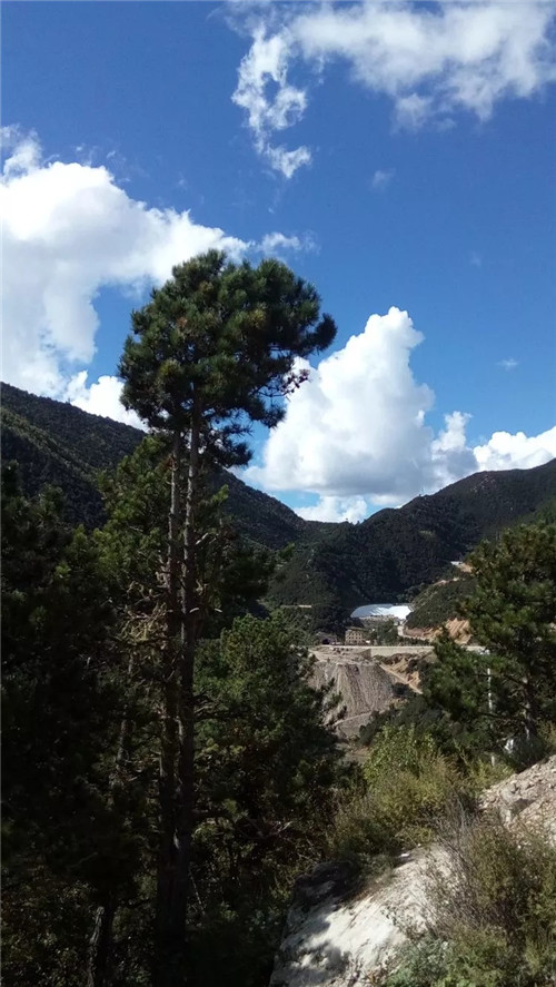 意昂2-科技赋能场景,让娱乐更有趣!