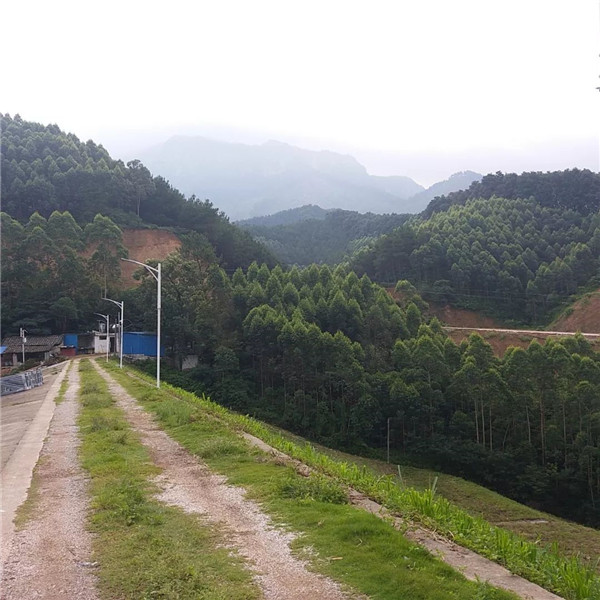 意昂2-科技赋能场景,让娱乐更有趣!